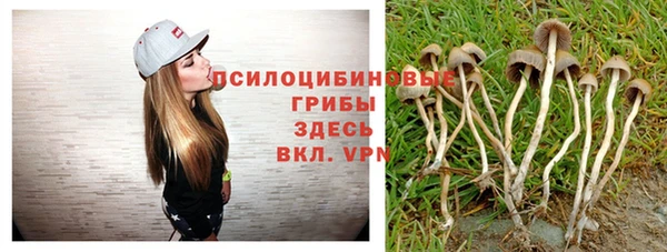 кристаллы Козловка