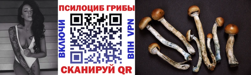 Псилоцибиновые грибы MAGIC MUSHROOMS  Купить закладки  Барыш 